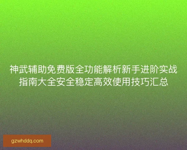 神武辅助免费版全功能解析新手进阶实战指南大全安全稳定高效使用技巧汇总